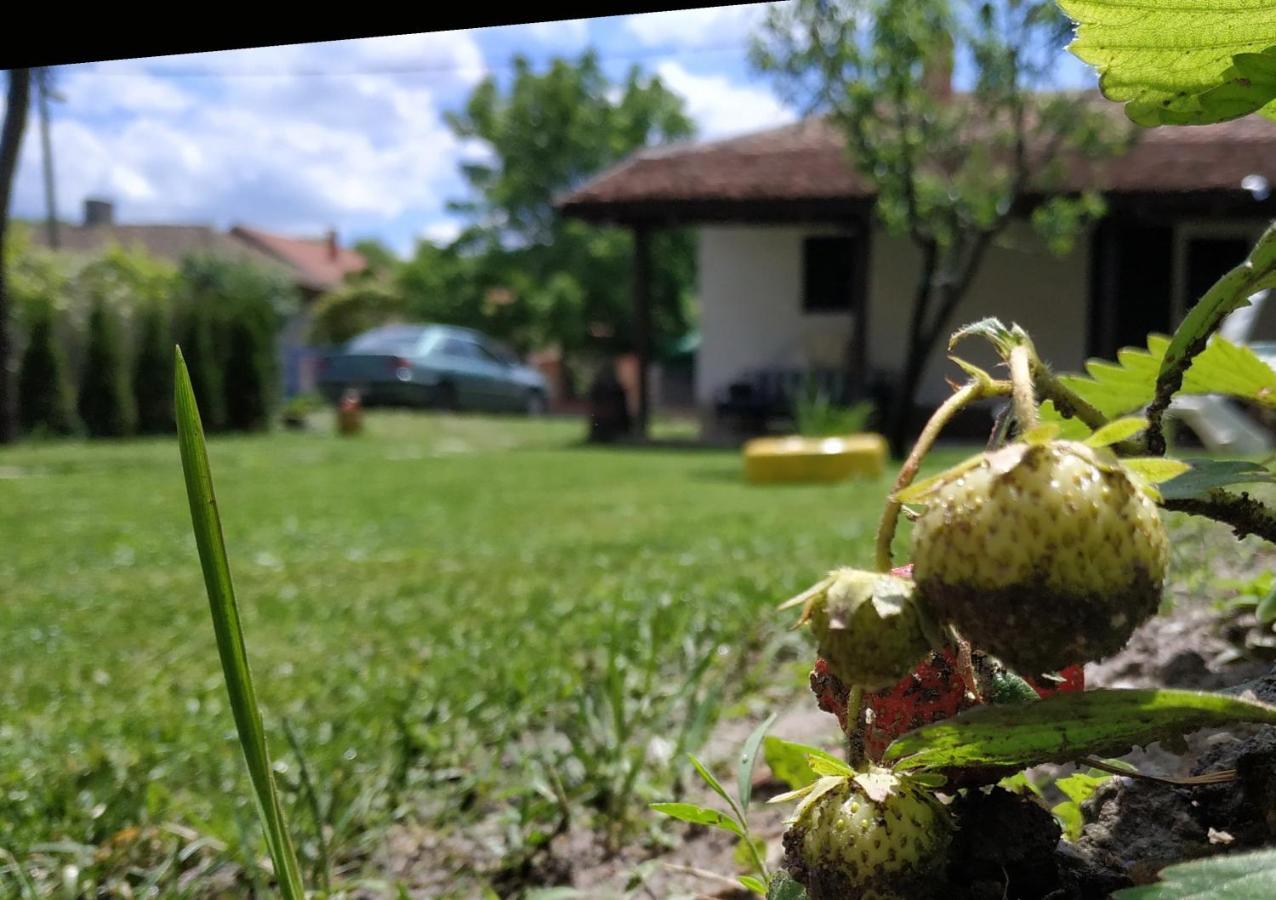 Stara Kovacnica Villa Golubac Eksteriør bilde